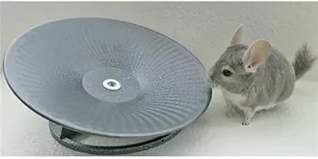 トレッドミルホイール 直径36cm 床置き式の回し車 チンチラなどの小動物用 Amazon.co.jp: Exsotic トレッドミルホイール 直径36cm 床置き式