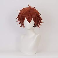 ツイステッドワンダーランド　エーストラッポラ　ウィッグ Amazon.co.jp: 【Azuiblc】ツイステ エース・トラッポラ