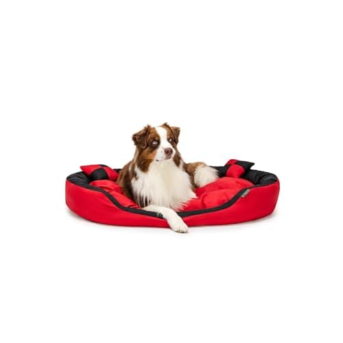 dibea Hundebett - Hundekissen - Hundesofa abwischbar mit Wendekissen (Größe und Farbe wählbar) (110x80x23 cm, schwarz/rot)