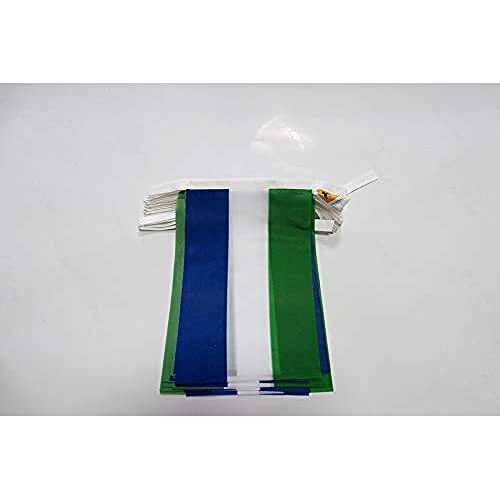 Image of AZ FLAG Sierra Leone 6 meters BUNTING Flag 20 flags 9'' x 6'' - Sierra Leonese STRING flags 15 x 21 cm