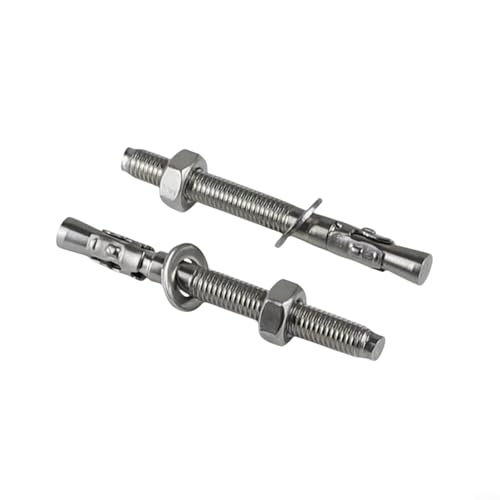 Lastdaytime Lot de 10 chevilles d'ancrage robustes en acier inoxydable 304 pour un montage fiable au mur et au sol dans l'amélioration de la maison (M10 x 100)