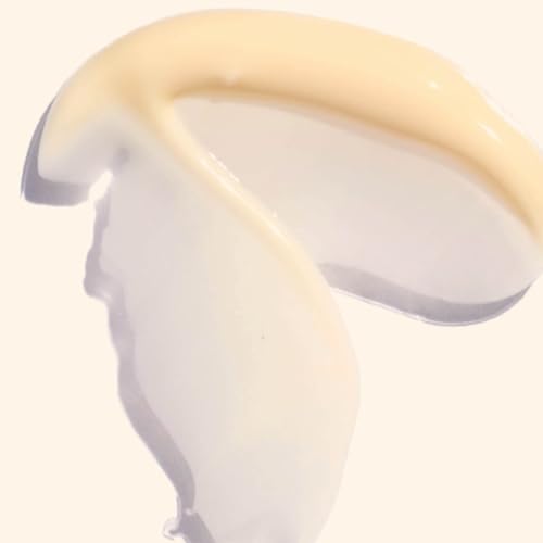 Ere Perez - Natural Moringa All-Beauty Crème | Vitamins A + E, Lemon Balm, Prickley Pear | Hydrates, Plumps, Soothes | Vegan, Cruelty-Free, Palm-Free, Clean Beauty (1.7 oz | 50 g)