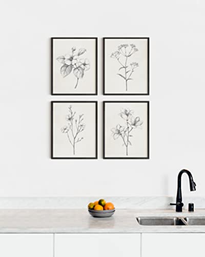 HAUS AND HUES Framed Vintage Botanical Prints - Set of 4 Framed Farmhouse Bedroom Wall Decor, Rustic Art for Bathroom, Farmhouse Decor Pictures for Living Room, Boho Decor (8x10, Framed Black)