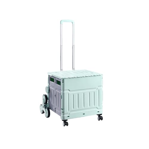 Nihig Opv|[Vbƒp|[^uGNXvXg[Xg[g[[܂肽݃VbsOJ[g ([AbvO[h 8֊KiNC~Of] ~gO[ ~fBA50L tsvǍ^Jo[)