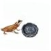 Yardwe 2pcs Reptile Feeder Bowls Durable Small Water and Food Dishes for Turtles Lizards and Snakes Stable Base for Indoor Outdoor Use Easy to Clean and Design