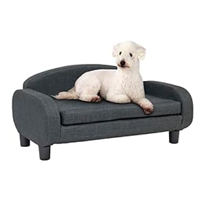 Paws & Purrs Modern Pet Sofa 31.5″ Wide Low Back Lounging Bed with Removable Mattress Cover in Espresso/Gray