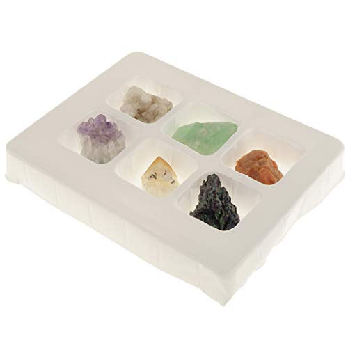 Scatola di 6/8 Campioni di Minerali Collezione Geologia Scienza della Terra Giocattolo