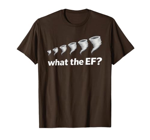 What the EF Scale? Tornado Storm Chaser Meteorology Humor T-Shirt, Men, Brown, X-Large