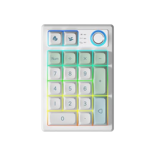 TISHLED Gasket Creamy Mechanical Numpad Programmable Macro Keypad Wireless 2.4G/Bluetooth 5.0/Wired USB-C RGB Backlit Hot Swappable Number Pad Rechargeable Numeric Keyboard Metal Knob for Win/Mac