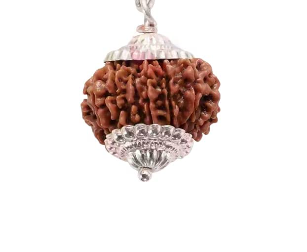 Trinetra Gems Asli 13 Mukhi Rudraksha Original Certified Nepali igl. Lab Terah Mukhi Rudraksh Silver Capped Thirteen Mukhi Rudraksha Beads Loose Blessed Indra तेरह मुखी रुद्राक्ष सिल्वर पेंडंट
