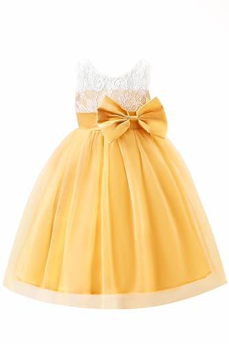 Toddler Girls Tulle Sleeveless Crewneck Embroidery Lace Floral Belted Birthday Princess Party Tutu Dress for 3-8Y