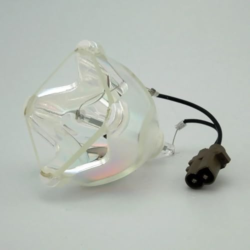 Ampoule AN B10LP BQC PGB10S 1 compatible projecteur PG B10S B10X