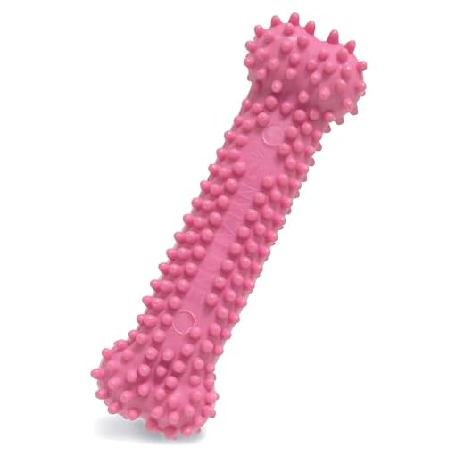 Nylabone | Masticable para dentición de cachorros | Forma de hueso con textura | Rosa | Sabor a pollo | Para perros muy pequeños o cachorros (hasta 7 kg) | Mordidas moderadas o primeros dientes