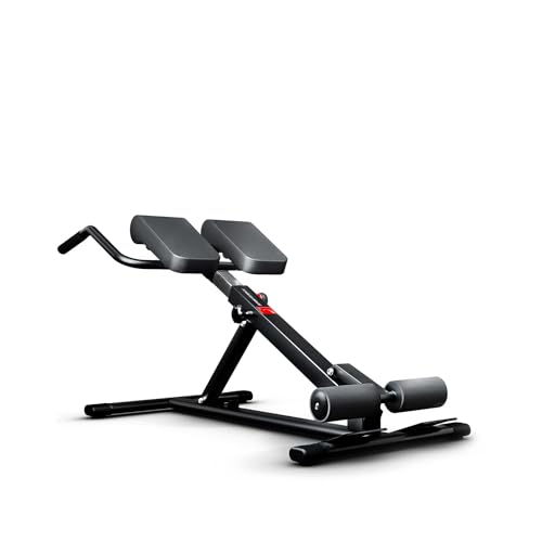 Sportstech Sain en 2019 - Banc de Musculation BRT150 6en1 avec Barre à dips pour Domicile, Hauteur réglable, Ergonomique, système de Pliage Facile, hyperextension Home Trainer