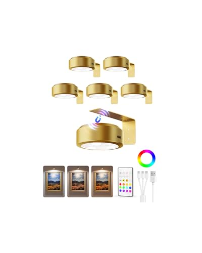 EZVALO Picture Lights for Wall 2000mAh Rechargeable Battery Magnetic Poster Lights with 3 Color Temps & 12 RGB Remote Dimmable Timer Painting Light Wall Decor Light for Art Display Frame (6 Pack)