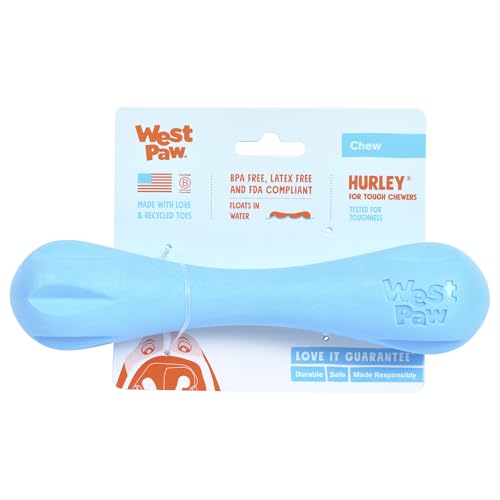 WEST PAW 27556 Hurley Large, Aqua, 500 g (1er Pack)