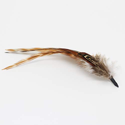 Borges & Scott - Feather Mounts for Hats (Millinery Feathers), Various, Pack of 8