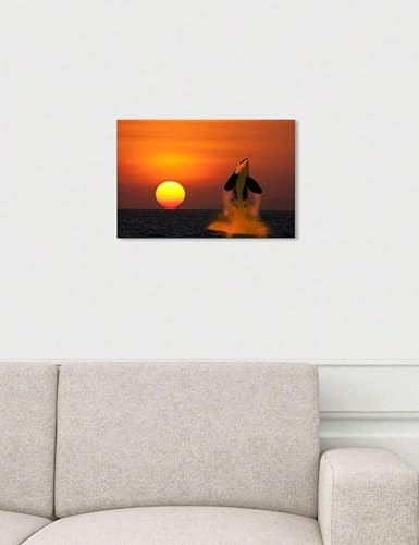 Impression toile épaulard en fuite pour habiller un grand mur vide