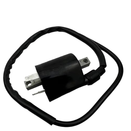 Bobinas de encendido para piezas de rendimiento de motocicleta Virago XV1100 XV700 4