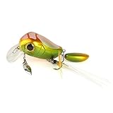 🎣AUSWERFEN: Dank seiner kleinen und kompakten form und seines bleikörpers lässt sich der schwanzspinner außergewöhnlich gut und weit auswerfen, so dass er fische in möglichst großer entfernung fangen kann.