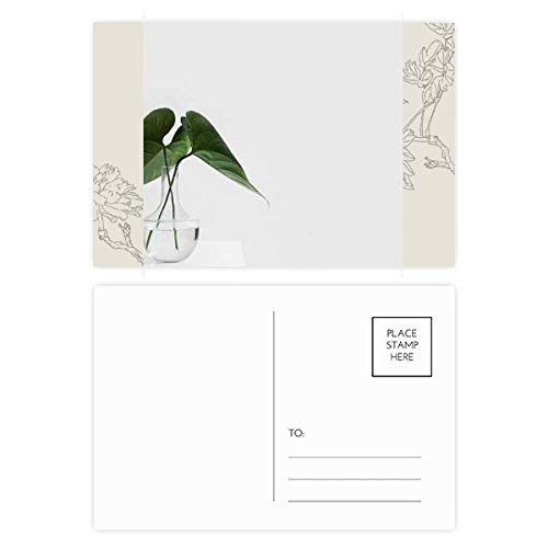 Carte postale de fleur verte DIYthinker Lot de 20 cartes de remerciement nature 5,7x3,8"
