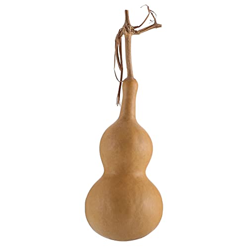 BESTOYARD Natural Gourd Shape Ornament Adornment Decorative Gourd Practical Desktop Decor Potable Natural Real Dried Wine Bottle Gourd Type Pendant Original Dry Gourd DIY Crafts Photography Props BESTOYARD Natural Gourd Shape Ornament Adornment Decorative Gourd Practical Desktop Decor Potable Natural Real Dried Wine Bottle Gourd Type Pendant Original Dry Gourd DIY Crafts Photography Props