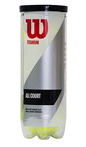 Wilson Titanium Synthetic Tennis Balls, 2-CAN (Yellow) (B07WTC6YV5) Amazon Price History, Amazon Price Tracker