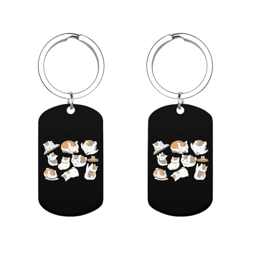 夏目友人帳 ニャンコ先生　トレーディングミラーチャーム キーホルダー Amazon.co.jp: キーホルダー 夏目友人帳 ニャンコ先生 チャーム