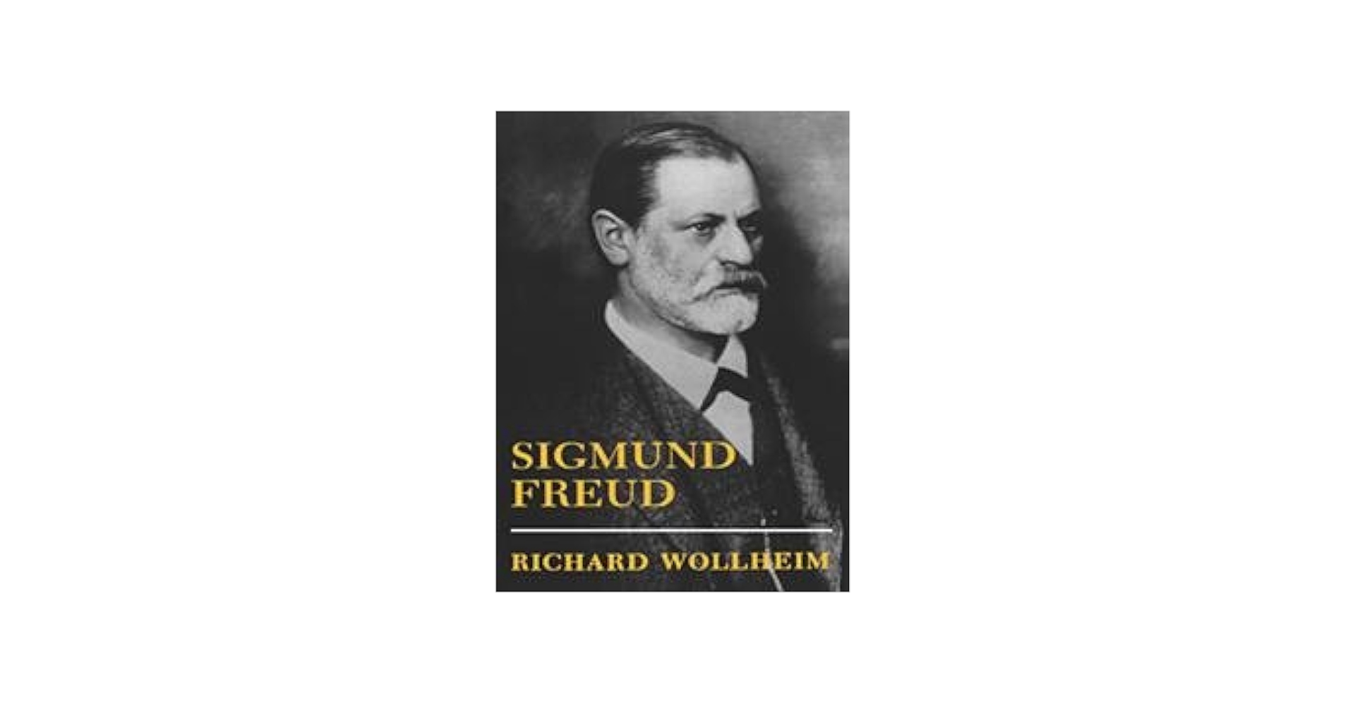 洋書 The Freud Encyclopedia 洋書 The Freud Encyclopedia The Standard Edition of the