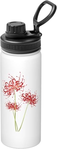  ފ݉ @r 500ml }O{g  XeX}O ^fM ۉۗ nht X|[c{g  l qp e y Rh~ L ȒP ^ AEghA ] [sAi]