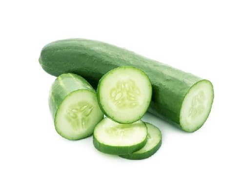 50 graines de concombre