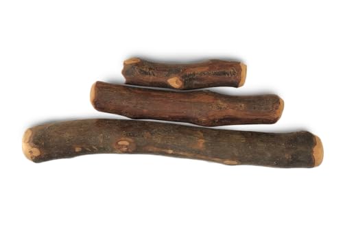 Olivenholz für Hunde - Kauholz aus Olivenbaumholz - S - Premiumqualität von Tackenberg