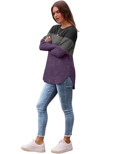 Image of Saloogoe Long Sleeve Shirts for Women 2025 Fall Clothes Tunic Tops Loose Fit Dressy Crewneck Pullover Sweaters Curved Hem