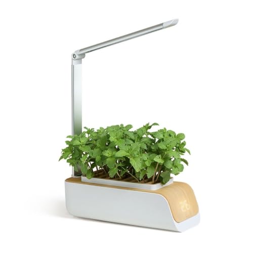 Mobiclinic®, Sistema de Cultivo Hidropónico Interior, Mini-Grow, Huerto de Interior, Luz Crecimiento, Altura y Ángulo Ajustable, Temporizador, Kit Germinación para Plantas, 4,5W, Led Automática
