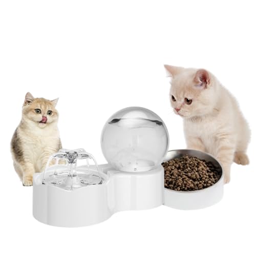 Dispensador automático 2 en 1 para gatos agua y comida
