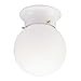 Globe Light Fixtures