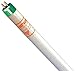 SHAT-R-SHIELD 49W, T5 Linear Fluorescent Light Bulb (40 Pieces)