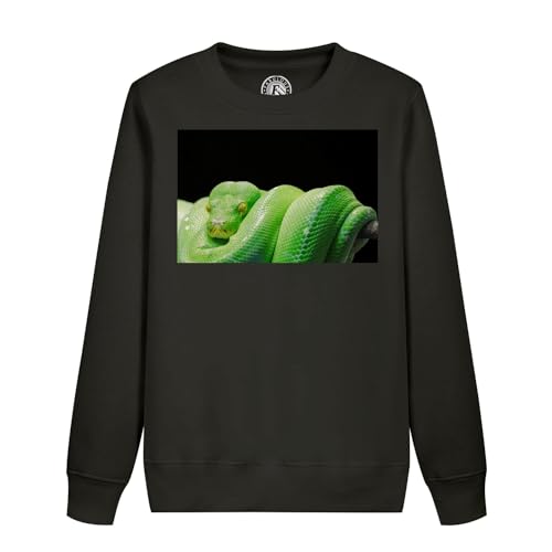 Sweatshirt python vert enfant pull motif serpent reptile photo nature sauvage
