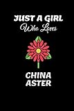 just a girl who loves CHINA ASTER: Blank lined notebook/journal for girls, woman, kids, students I Notebook gifts for CHINA ASTER lover