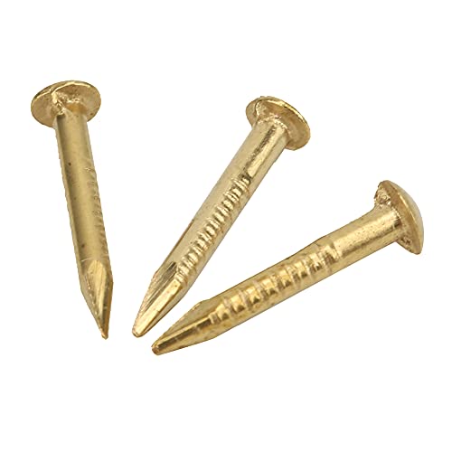 Generic ミニチュア真鍮ネジセット 100個 長さ15mm ? アンティーク風DIY金具 模型用 壁掛け耐荷重 (長さ10mm)
