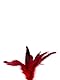 Sportsheets - Pleasure Feather Red