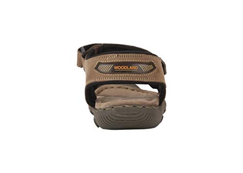 Image of Woodland Men Sandals