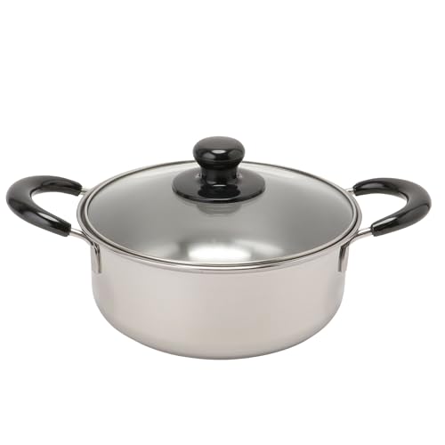 丸山技研 レジューラ 両手鍋 20cm ガラス蓋 ステンレス IH対応 ガスコンロ対応 日本製 燕三条 RE-603