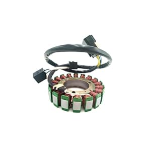 Tchuyan CF500 Motorrad Generator Stator Spule