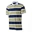 Gray Green & Navy Blue Striped-short