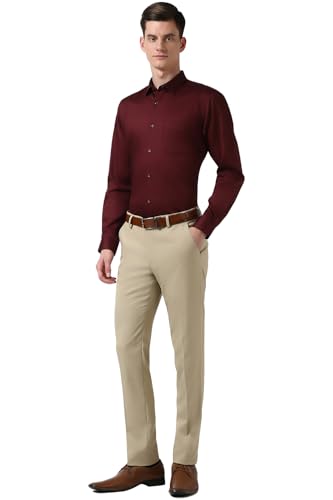 Image of Peter England Men's Satin Solid Regular Fit Formal Shirt | Cotton with Satin Sheen | Luxury