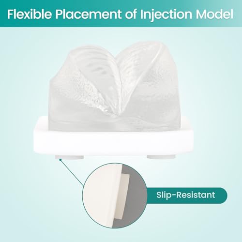 Image of Transparent Facial Injection Lip Model,for Filler Practice | Micro Plastic Surgery Teaching, Beautician Teaching, Injection Training for Medical Students Doctors