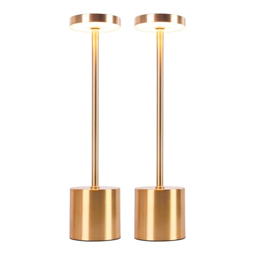 CATAVANA-Lot de 2 Lampes de table sans fil - Rechargeables LED pour Intérieur/Extérieur - Cable USB-C - Lampe Tactile avec Variateur - Design en Métal -...