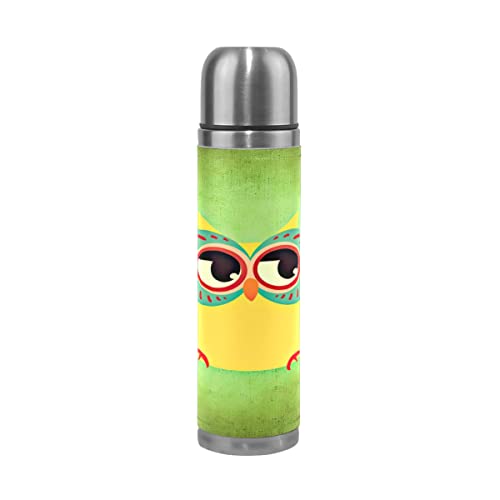 Búho colorido divertido botella de agua de acero inoxidable con aislamiento al vacío termo 500 ml viaje deporte té café…