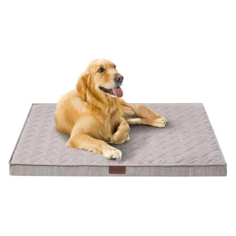 Friends Forever Orthopedic Dog Bed Cover